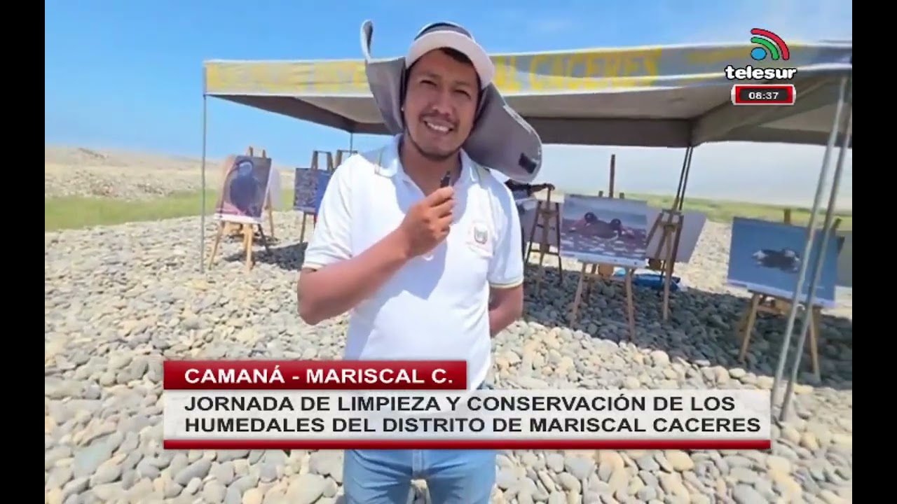 JORNADA DE LIMPIEZA Y CONSERVACIÓN DE LOS HUMEDALES DEL DISTRITO DE MARISCAL CACERES - #camana
