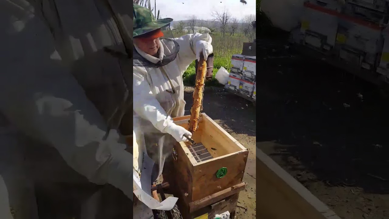 Bitirici Koloni Hazırlama, Bitirici koloninin özellikleri, Bitirici Koloni Halil Bilen