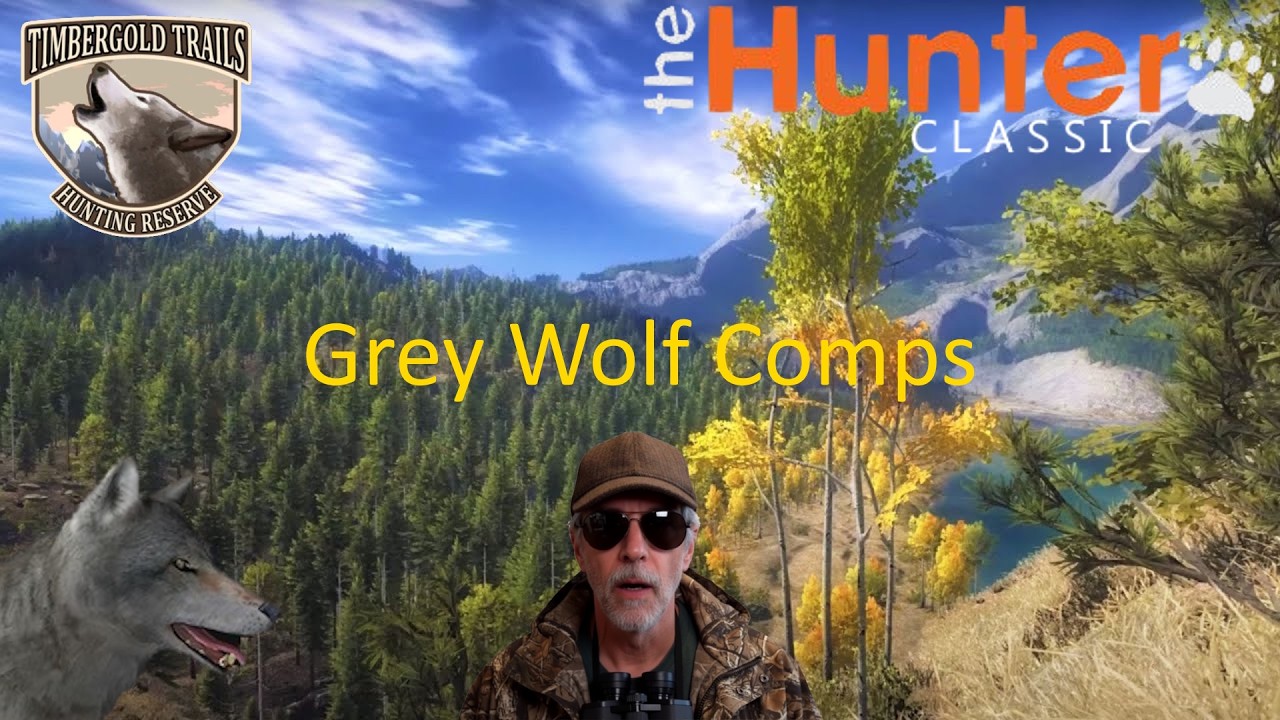 🔴 theHunter Classic: Grey Wolf Comp 🔴 !triviainfo