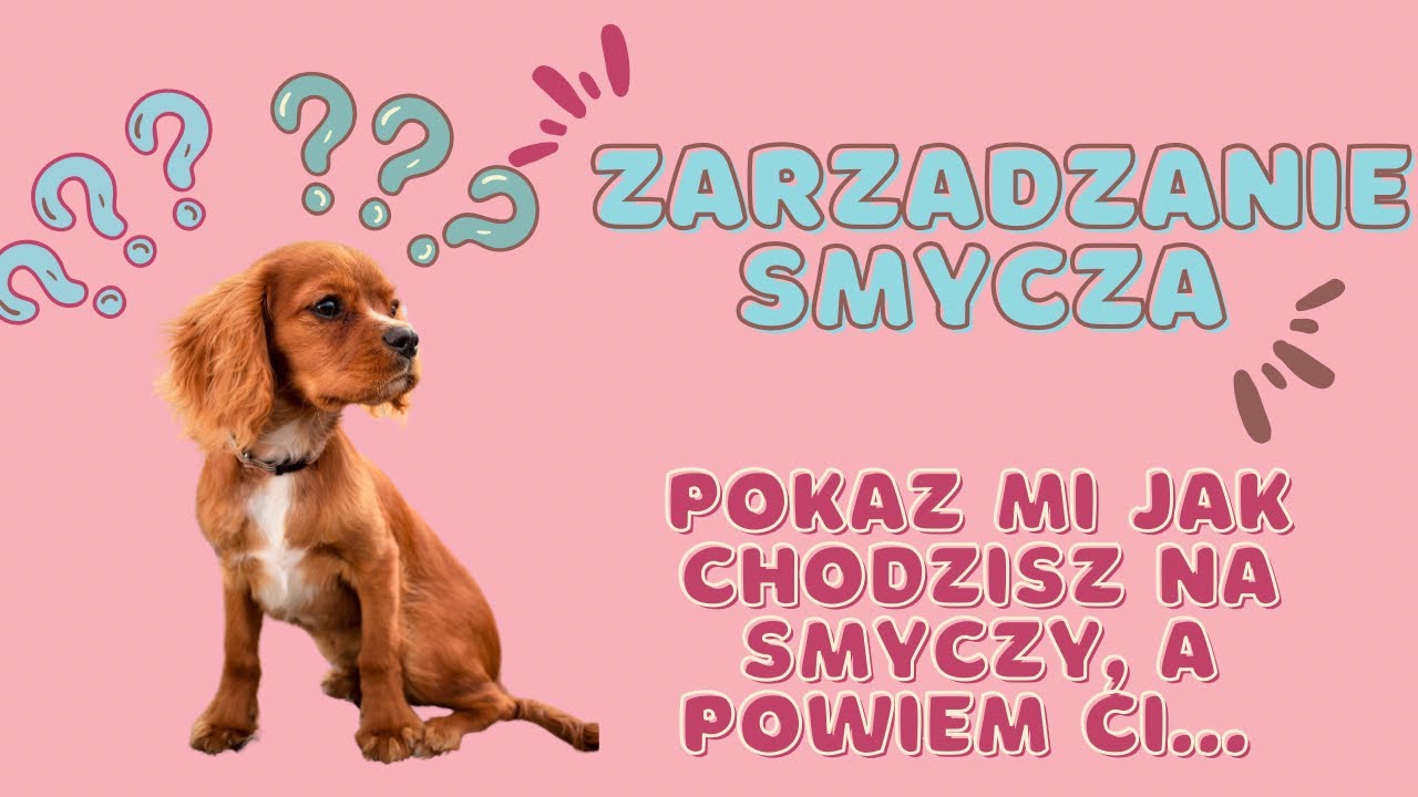 Odcinek 3. Zarządzanie smyczą. Co musisz wiedzieć, aby się nie zaplątać? 😅