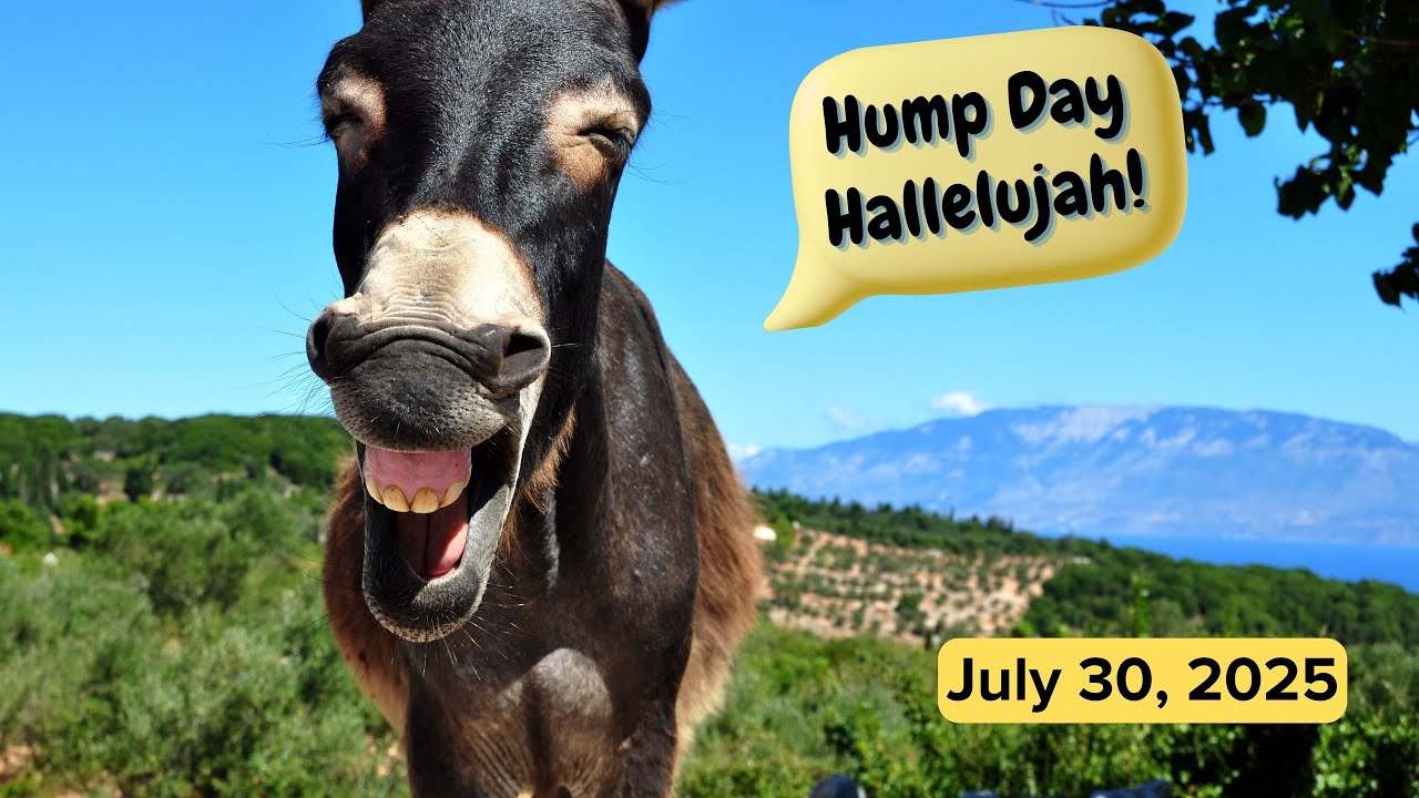 Hump Day Hallelujah!  July 30, 2025