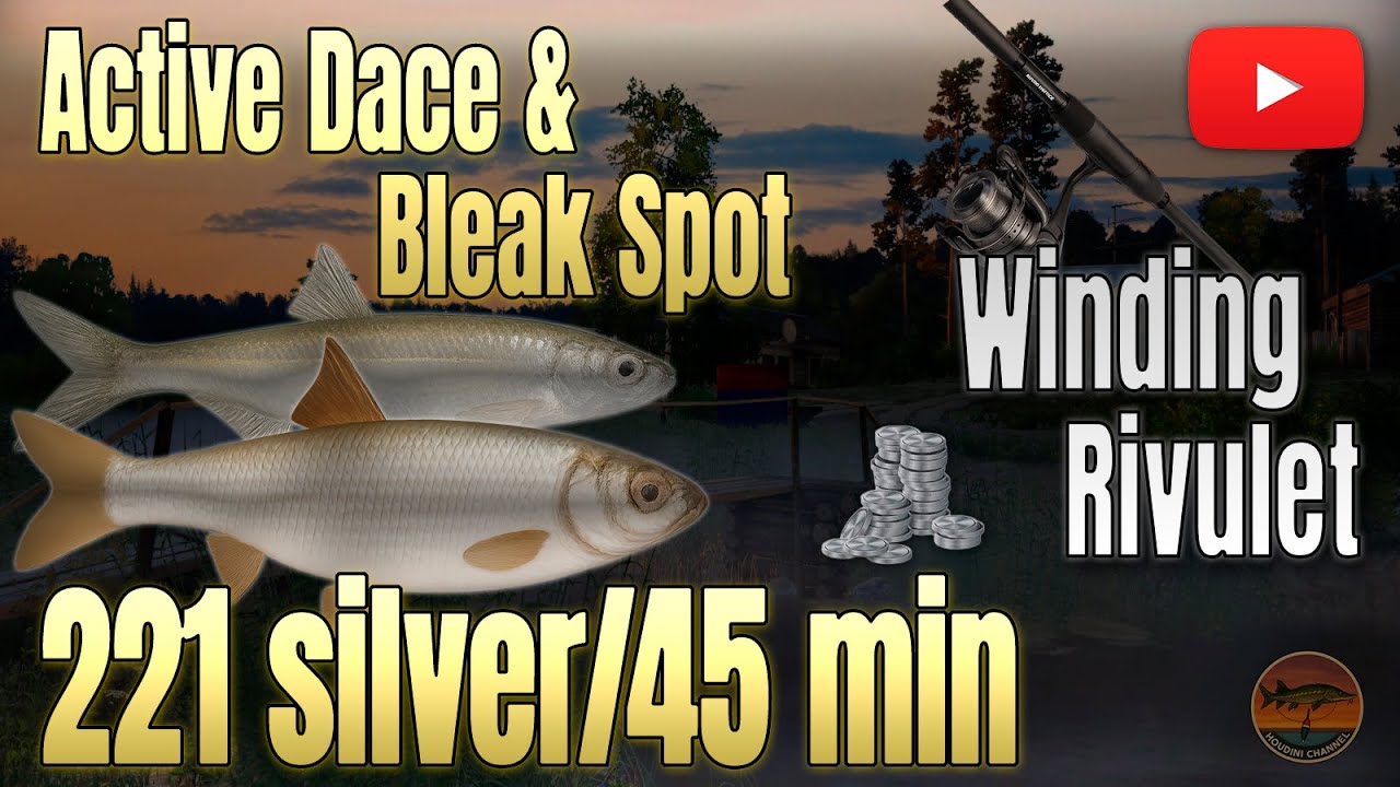 🗺️ Best Float Setup for Small Fish | RF4 Winding Rivulet Guide 🐟💸