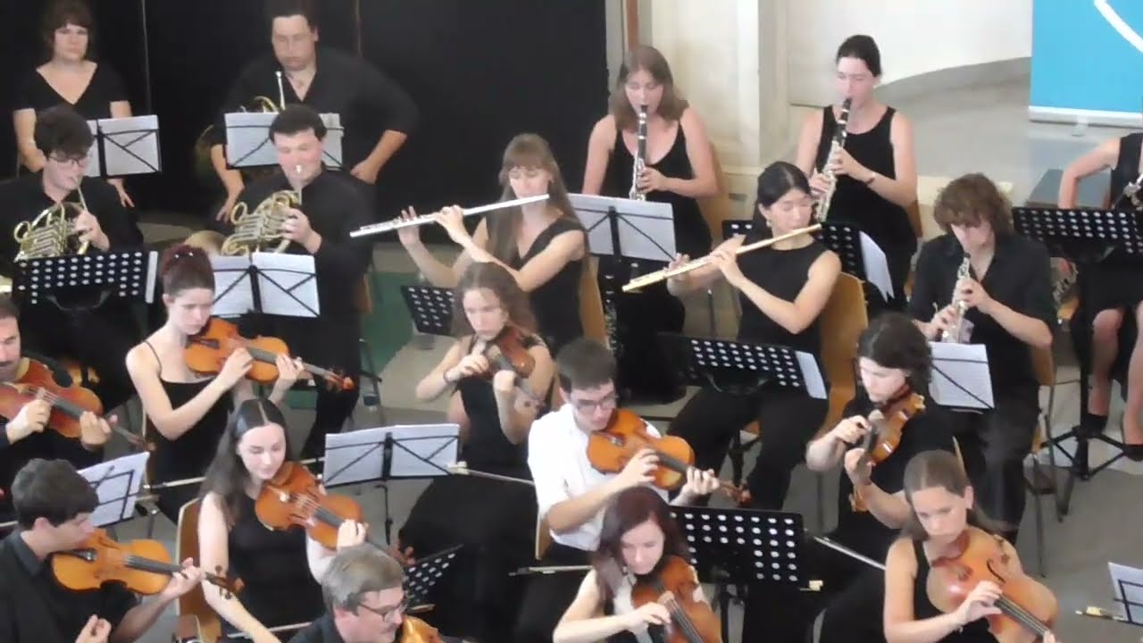 Johannes Brahms: Symphony in E minor, no. 4, op. 98, Movement 2