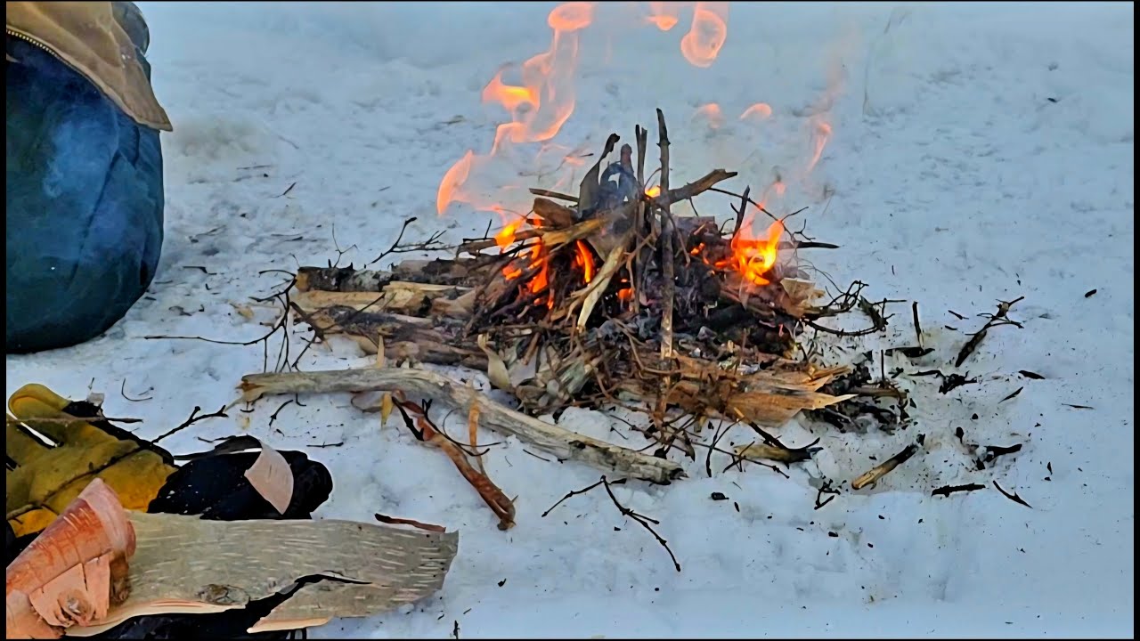 Trying to teach an important survival skill and gets nose smashed!! 