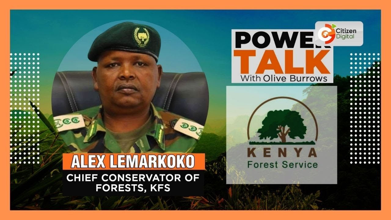 Power Talk | 15 BILLION TREE COVER PLAN