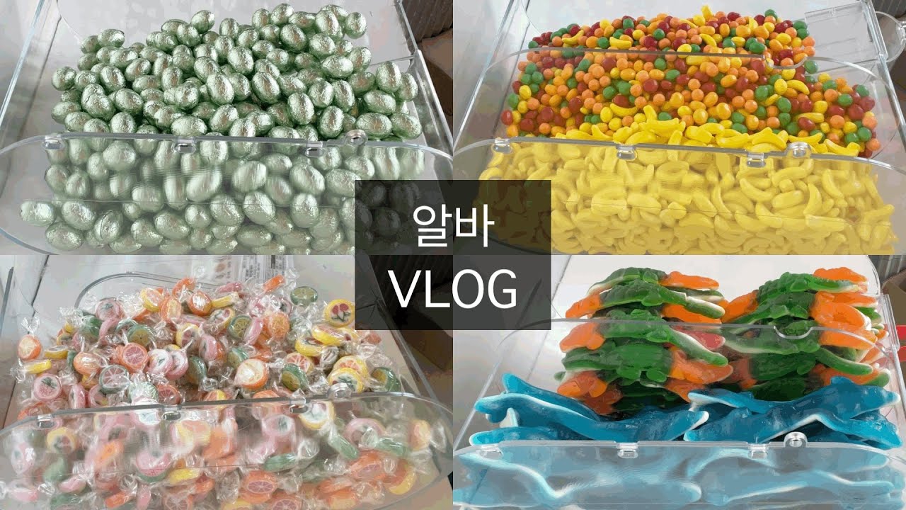 알바 브이로그 | 달달한 영상 낋여왔어요🥕🐬🍏🍋🍓