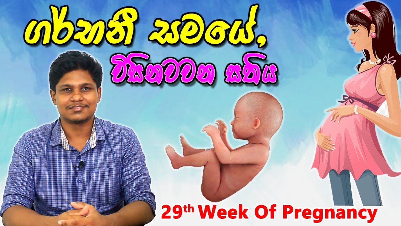 Pregnancy 29th Week | Sinhala Medical Review | අම්මයි බබයි