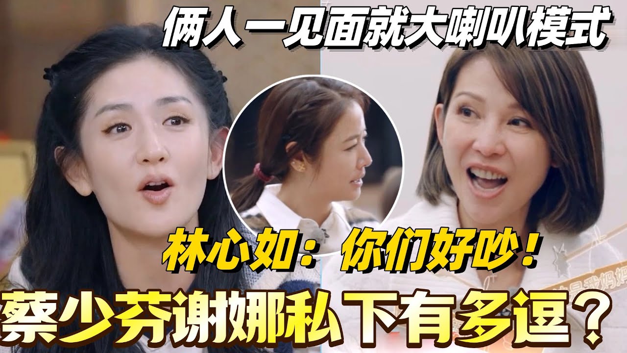 蔡少芬谢娜私下有多逗？俩人一见面就大喇叭模式 ！林心如：你们好吵！#林心如 #我们的美好生活 #蔡少芬 #谢娜