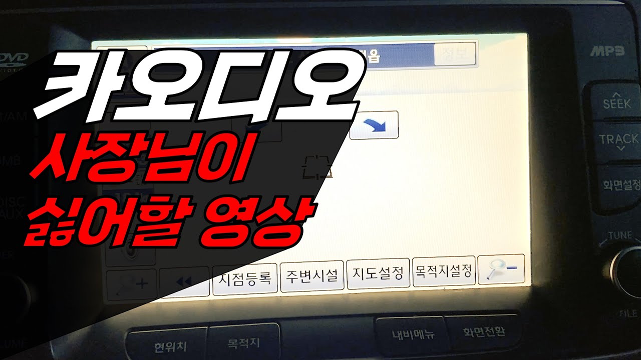 네비도 고쳐볼래? / 순정 오디오 네비백화?