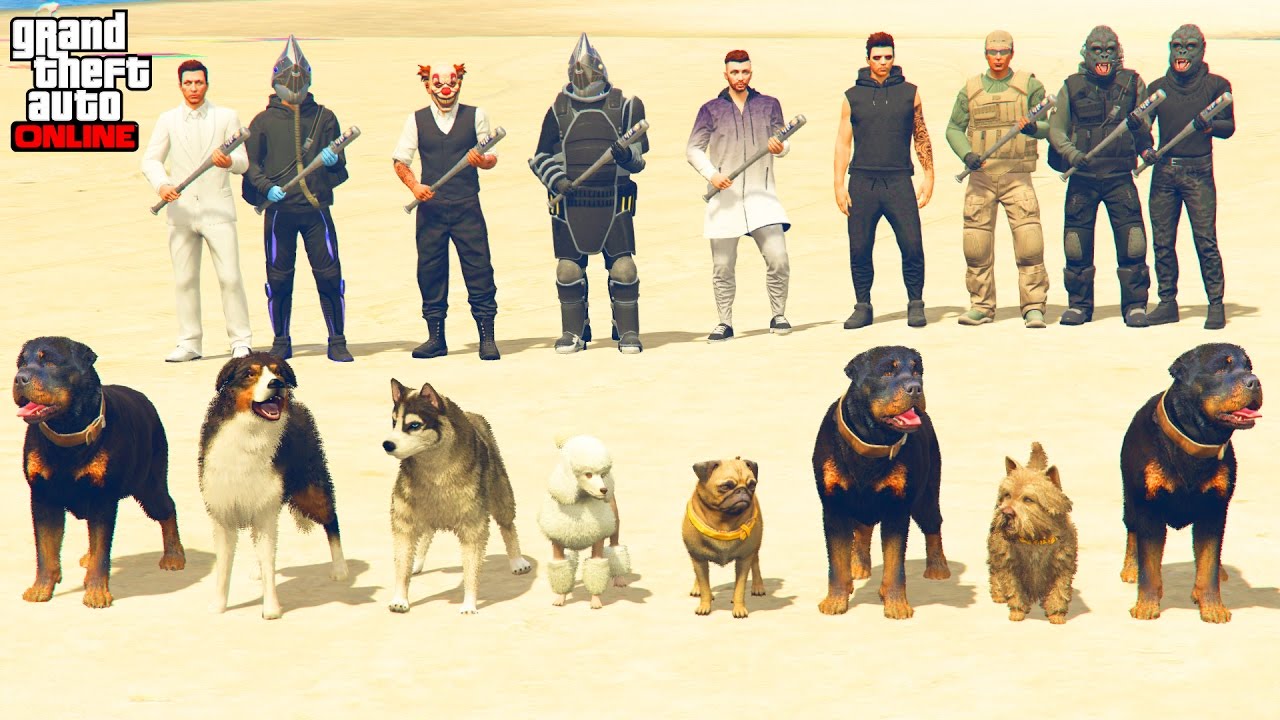 CHIENS VS PLAYERS - GTA 5 ONLINE
