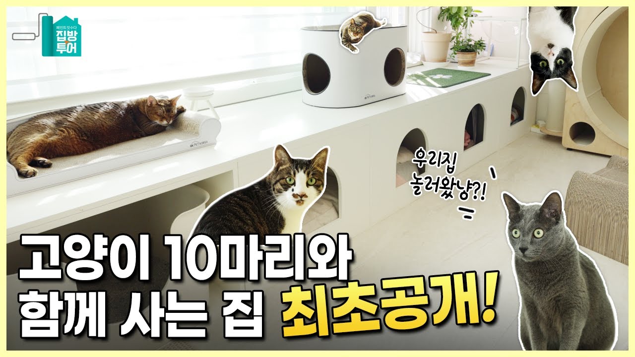 [SUB] 집방투어 | 고양이 10마리와 함께 사는 집 최초공개! 캣테리어, 펫테리어에 대한 꿀팁과 노하우까지 대공개. 우리집 보러 올 준비 됐다냥? ♥