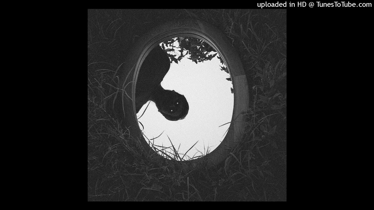 whirr + wisp + mbv shoegaze type beat - forever