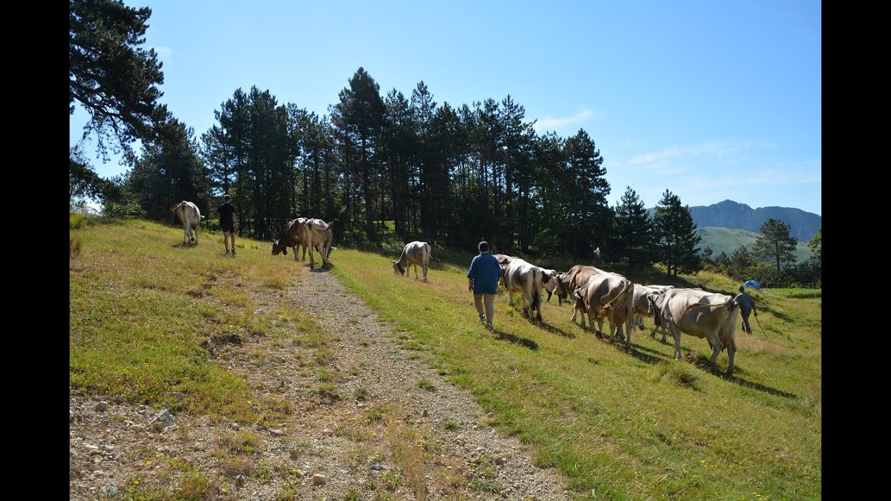 Azienda agricola Ai Piani, Masone (GE)