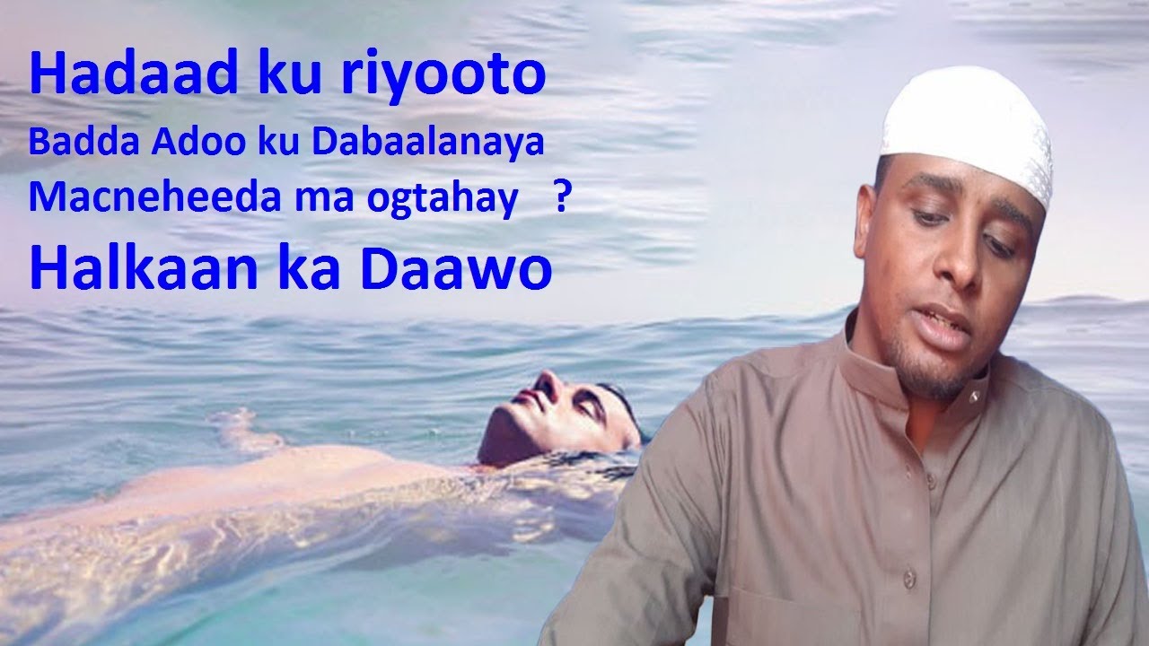 Bad ado ku Qubeysanaya Hadaad ku riyooto fasirka oo Faah faahsan arag