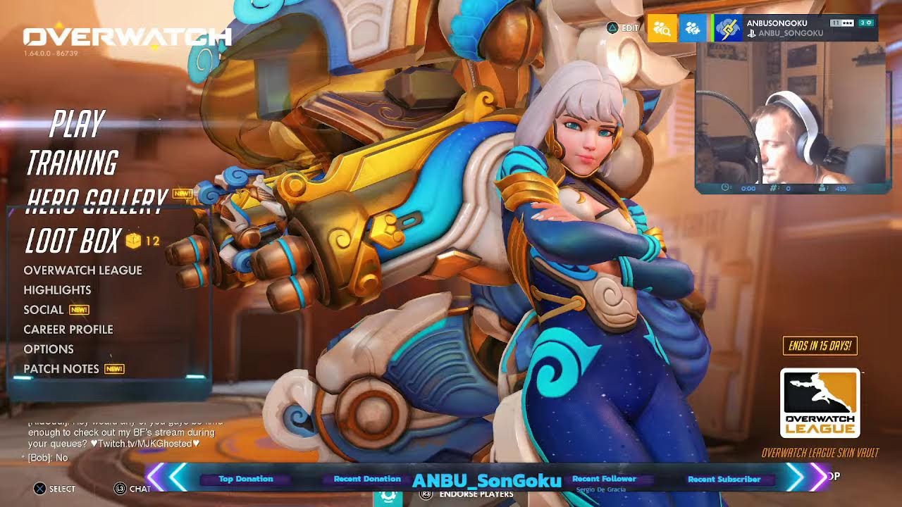 Overwatch - Flexin Roles