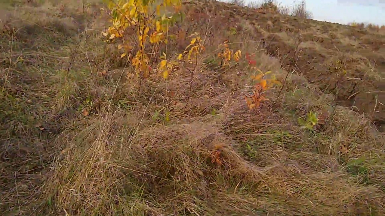 Prezentacja trudnej orki ugoru.