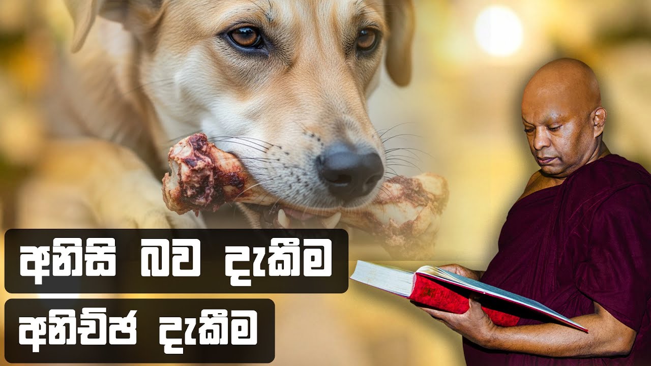 පිරිසිද දැන ගැනීම.