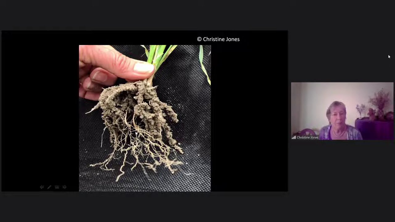 Dr Christine Jones - BioFarm 2021 Day 5
