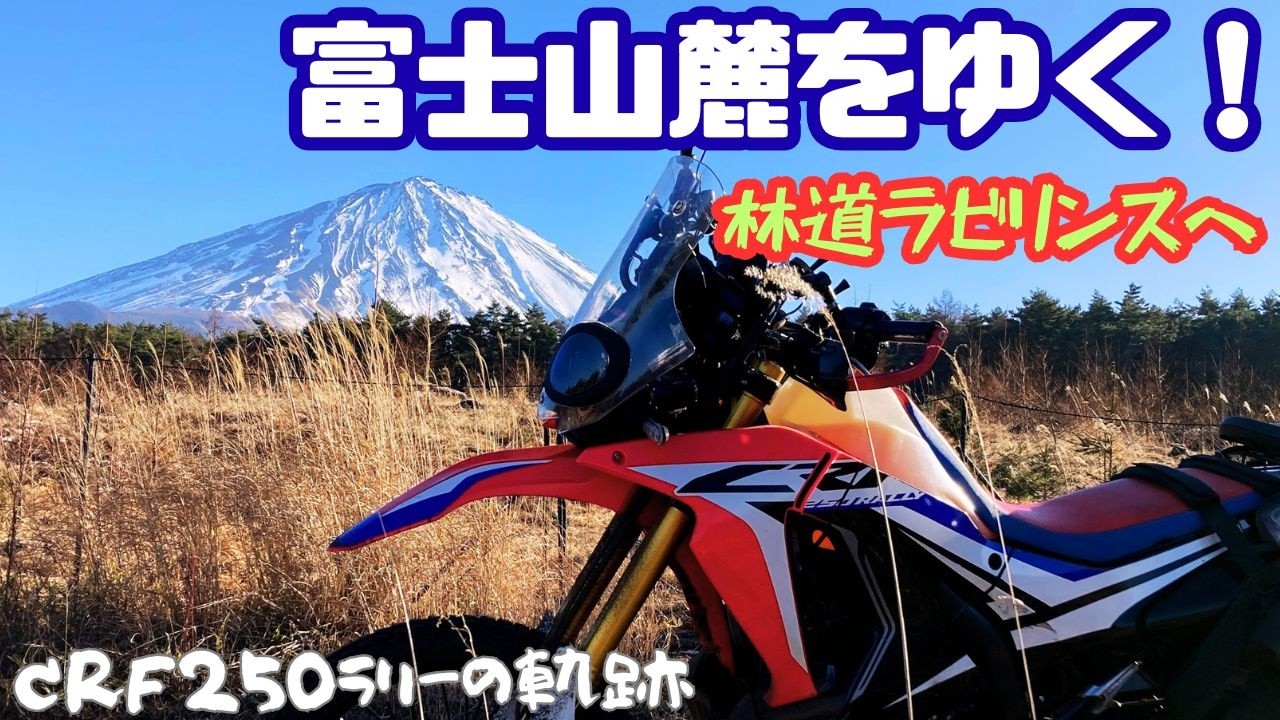 【お山ツー】林道ラビリンスへ！富士山麓をゆく！【山梨/CRF250RALLY】