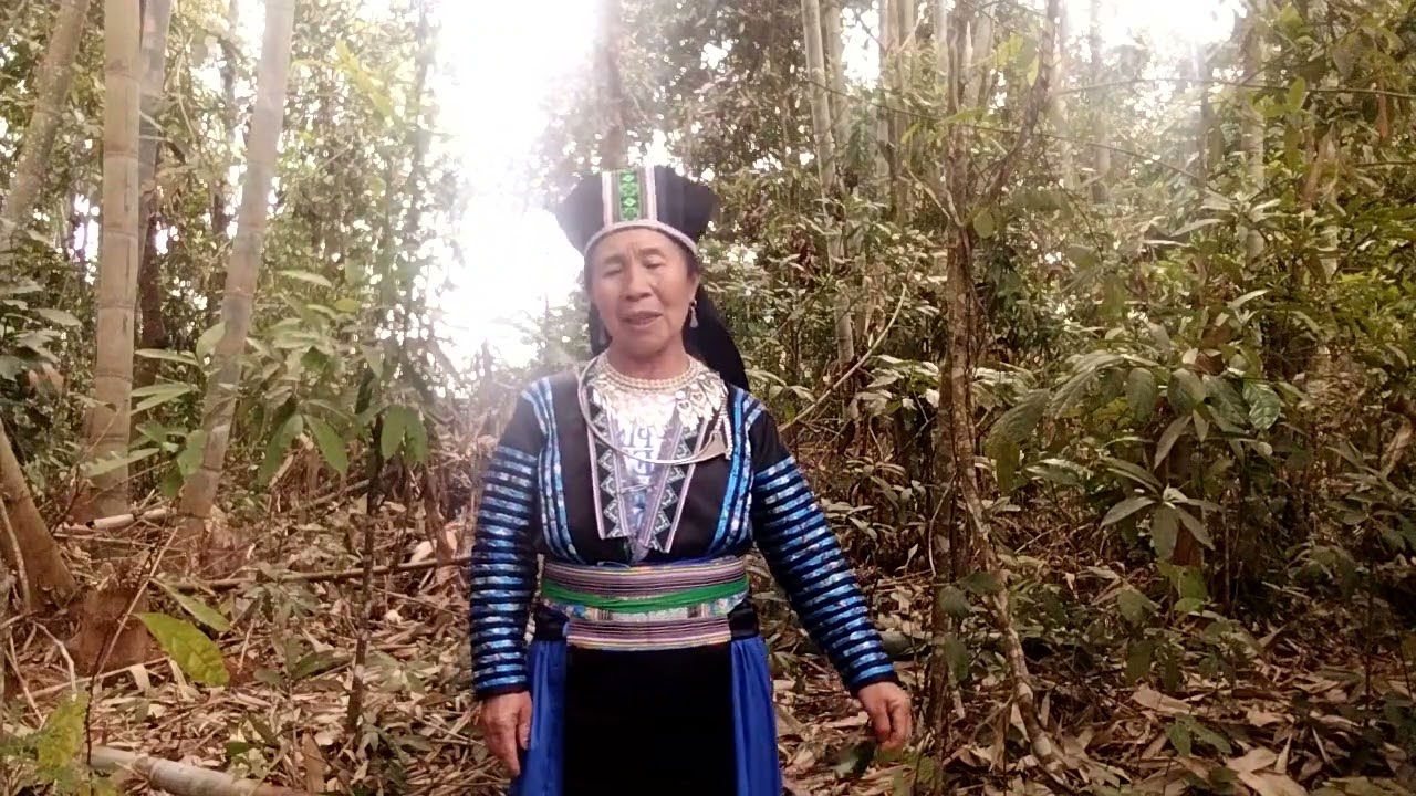 23 tháng 2, 2026