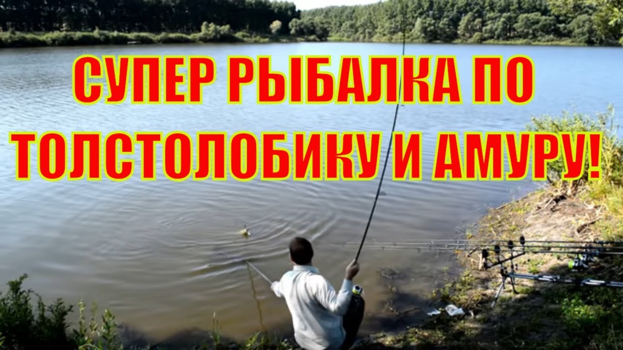 Супер рыбалка по толстолобику и амуру в начале августа / Монтаж снасти 