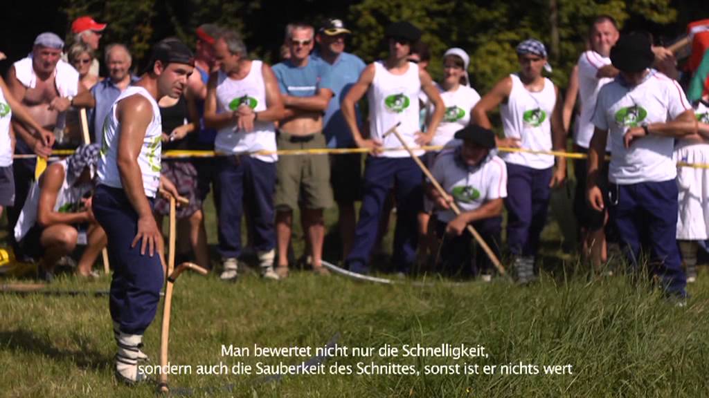 Europako Sega Txapelketa 2011 (1. zatia)