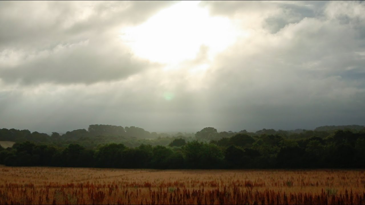 WHY I GET UP AT 5AM TO SPEND TIME IN NATURE | my slow early morning routine