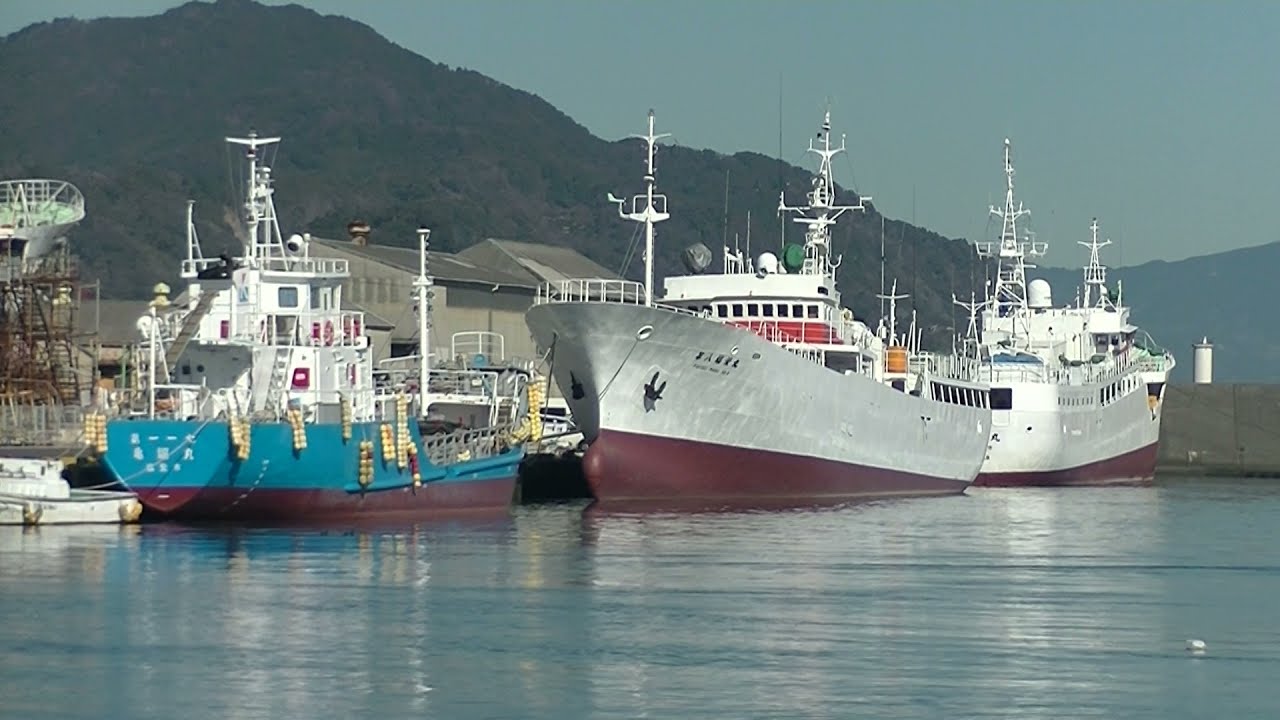 12月20日　小川港ドック(Kogawa Port Dock)