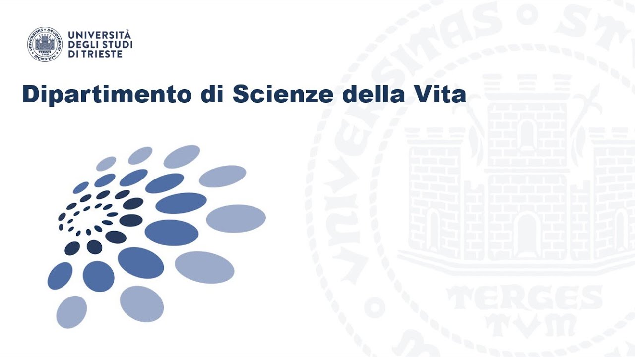 Laurea magistrale in Psicologia Sociale e Cognitiva Applicata PSCA DVS UNITS