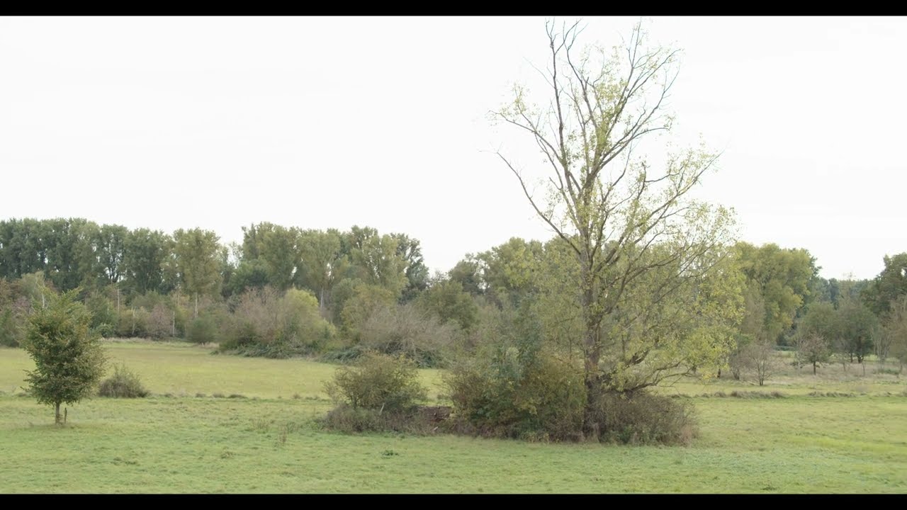 Germany Rhein-Sieg area | Oktober 2023 | BMPCC 4K | LUT: Ari