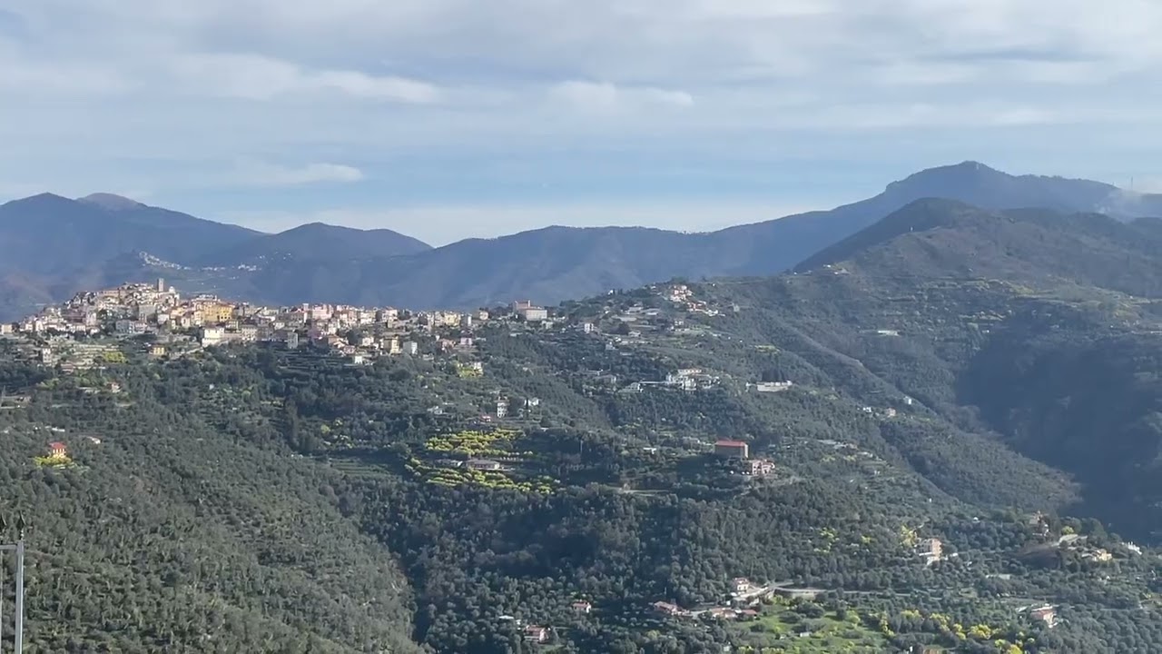 Ampia Proprietà coltivata a vite e uliveto in Vendita a Perinaldo (ref L48)