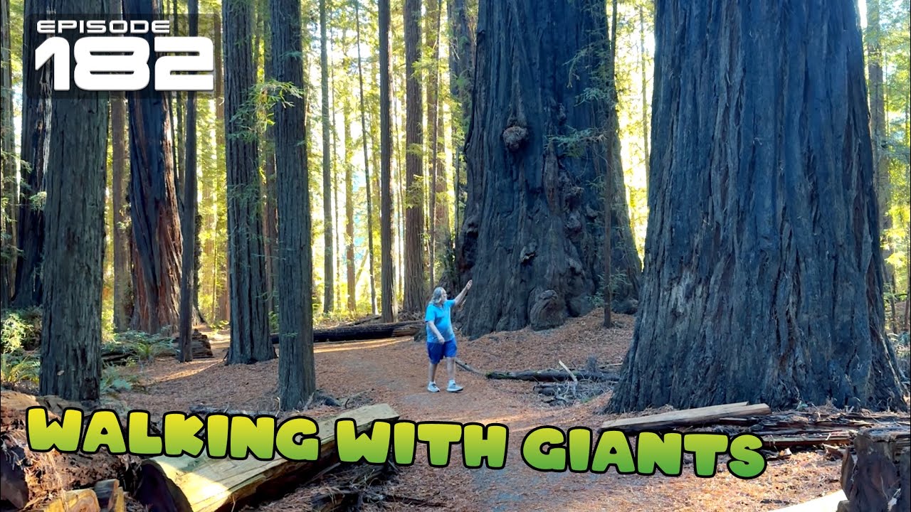 Vacation Earth - Ep 182 - A Little Hike in Humboldt Redwoods State Park   Near Miranda, California