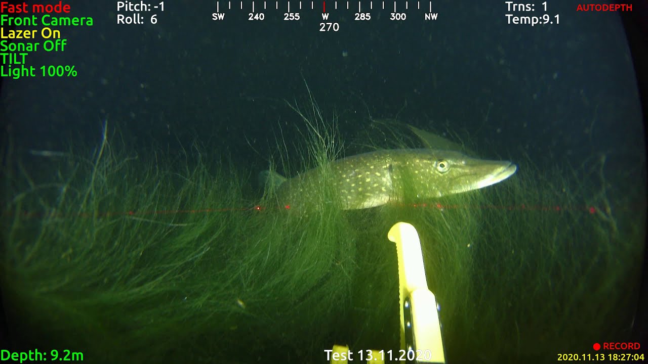 ROV RB-150D Spearfishing with harpoon