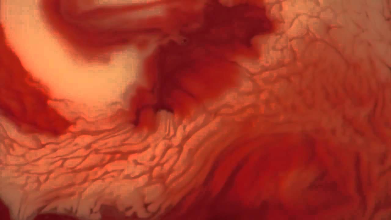 Shlohmo - Rained The Whole Time (Nicolas Jaar Remix) [Official Video]