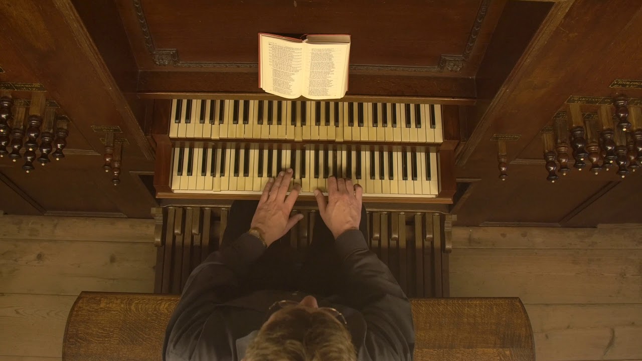Psalm 104 | Sietze de Vries | allePsalmen.nl