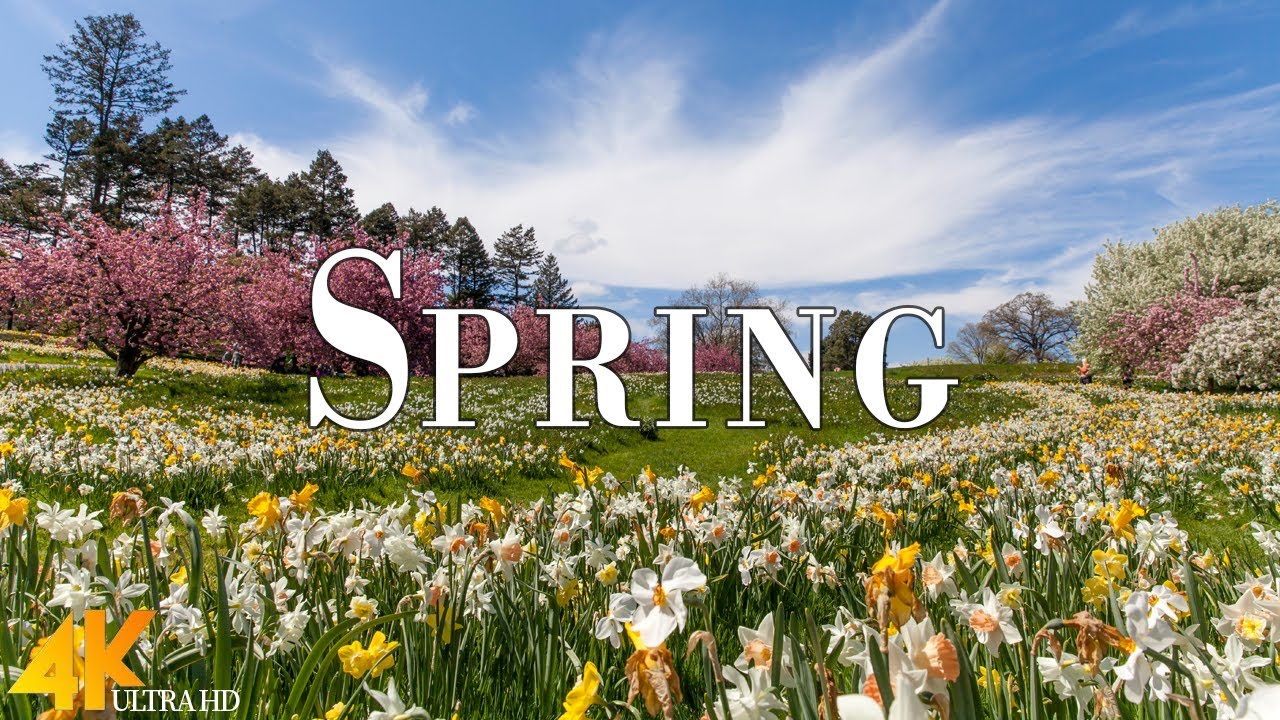 Spring 4K Ultra HD &bull; Stunning Footage Spring, Scenic Relaxation Film with Calming Music.