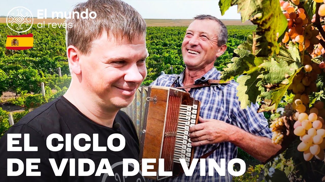 ¡Secretos y tradiciones de la vinicultura en Bessarabia! | Ucrania 2025 | EPISODIO 6