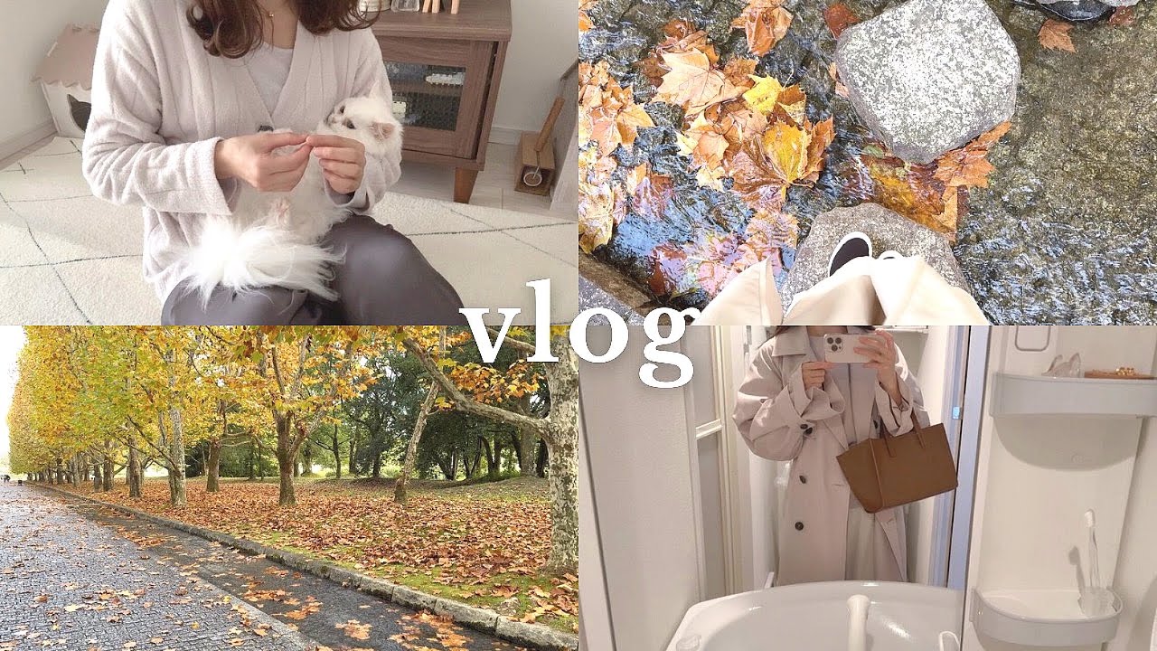 猫と暮らす一人暮らし｜家事をこなし紅葉を見に出かけて自然に癒される休日のルーティンvlog🍁｜掃除｜家事