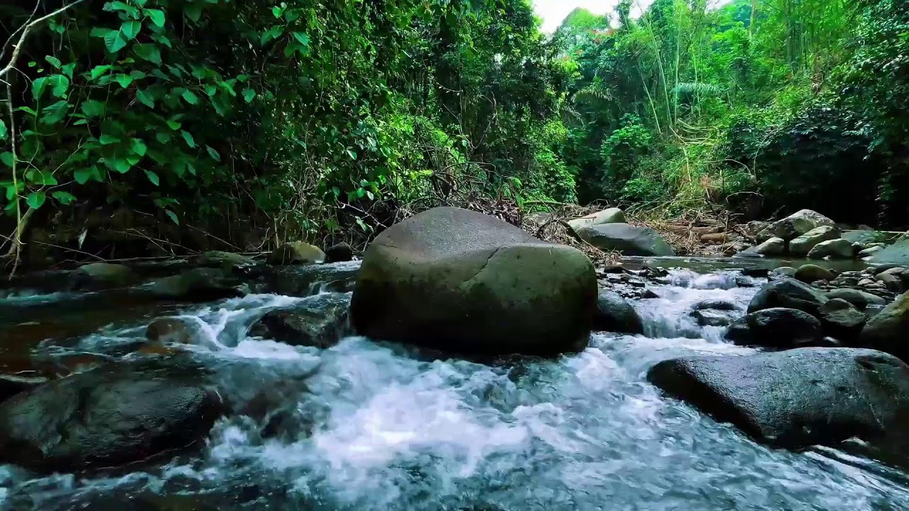 Calming River Sounds for Deep Sleep 💧 Relaxing Water Ambience for Sleeping & Study