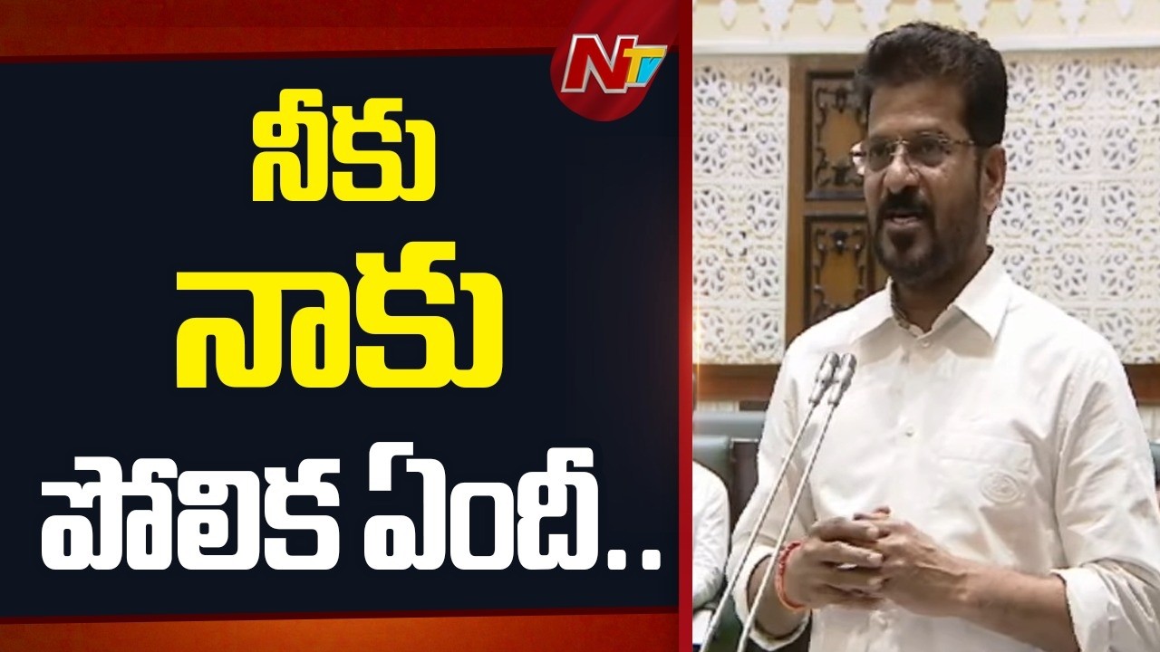నేను కష్టపడి పనిచేసే వ్యక్తిని.. : CM Revanth Reddy | NTV Telugu