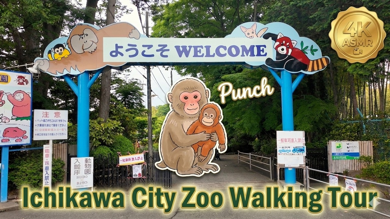 【Punch】Ichikawa City Zoo Walking Tour 市川市動植物園ウォーキング　パンチくんで有名【4K ASMR】
