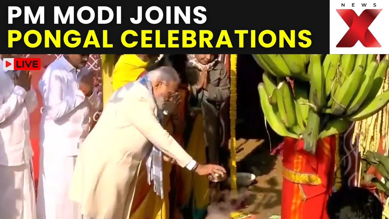 PM Modi Celebrates Pongal LIVE: PM Modi Joins Pongal Celebrations Hosted by Union Minister L Murugan