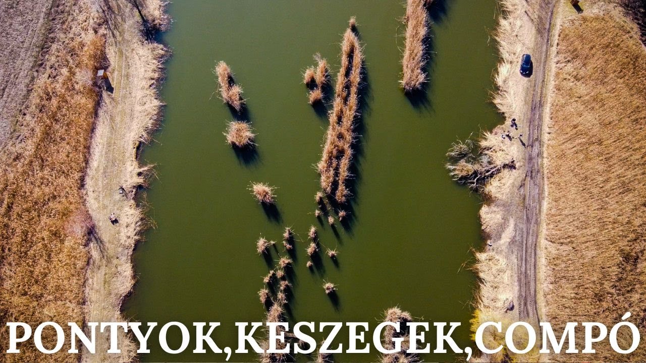 Szezonkezdő feeder horgászat a datén! #fishing 🐟