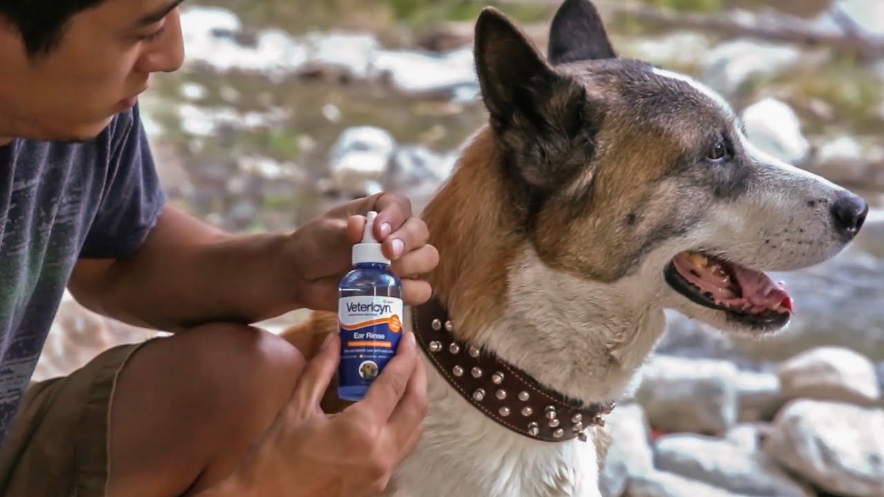 Vetericyn Plus Ear Rinse