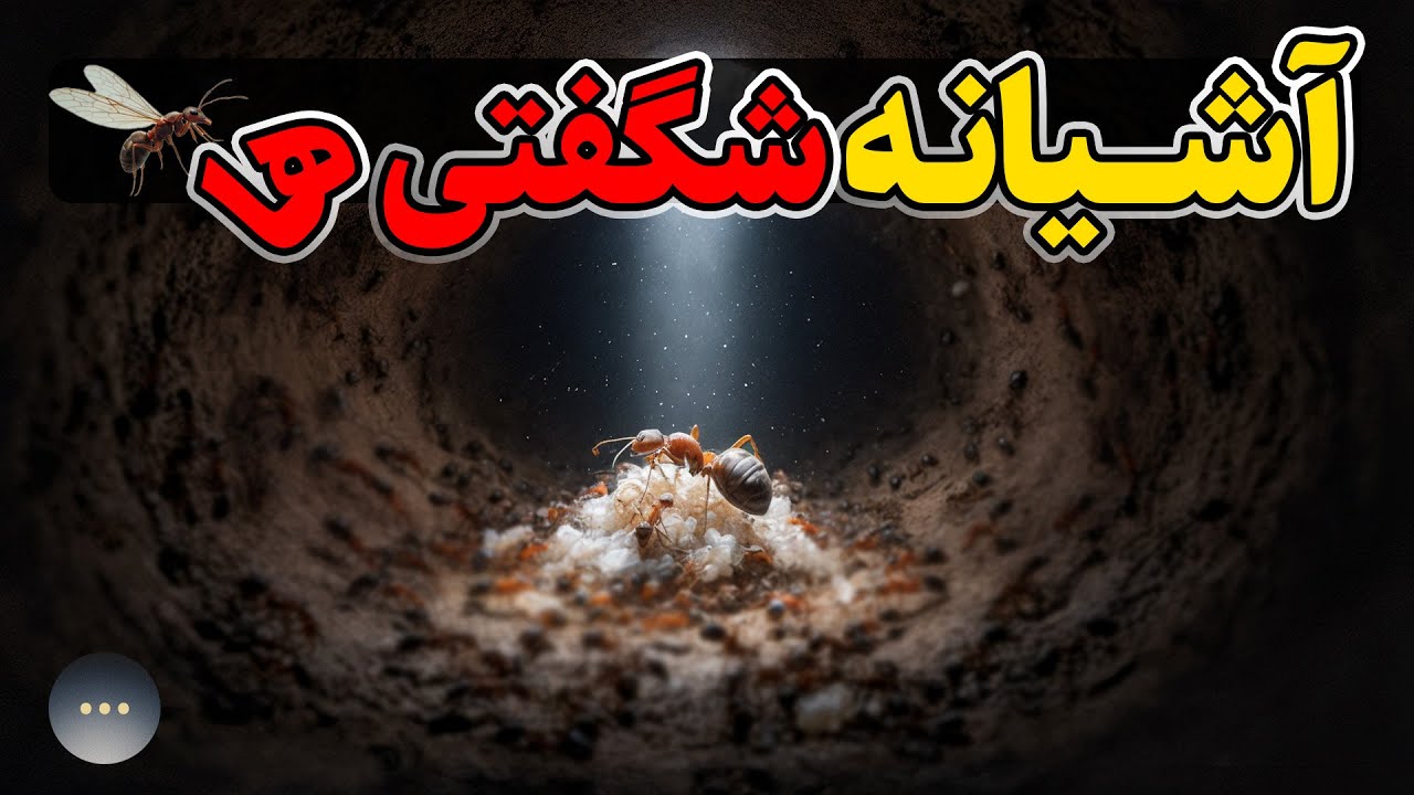 کلونی مورچه‌ ها : سلسله‌ای که متوقف نمی‌شود