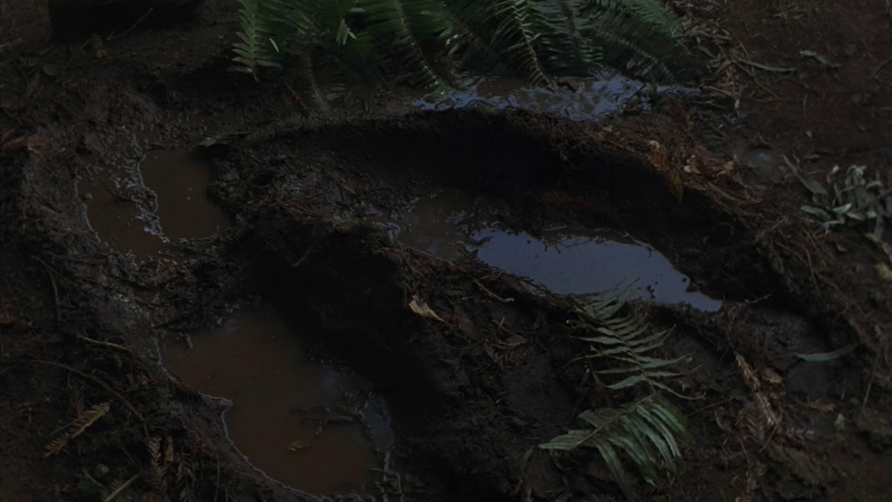 Dinosaur footsteps sound effects