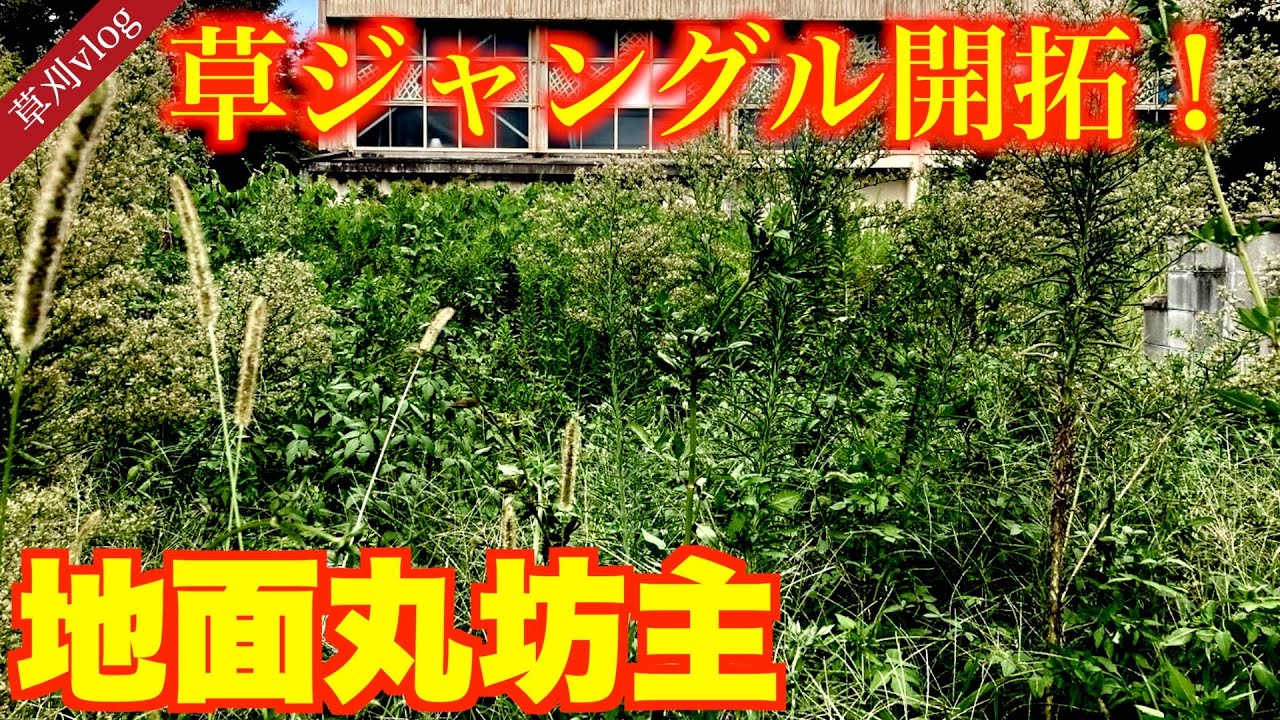 【草刈り】刈りくし祭！二枚刃、シュレッダーブレード、ハンマーナイフモア