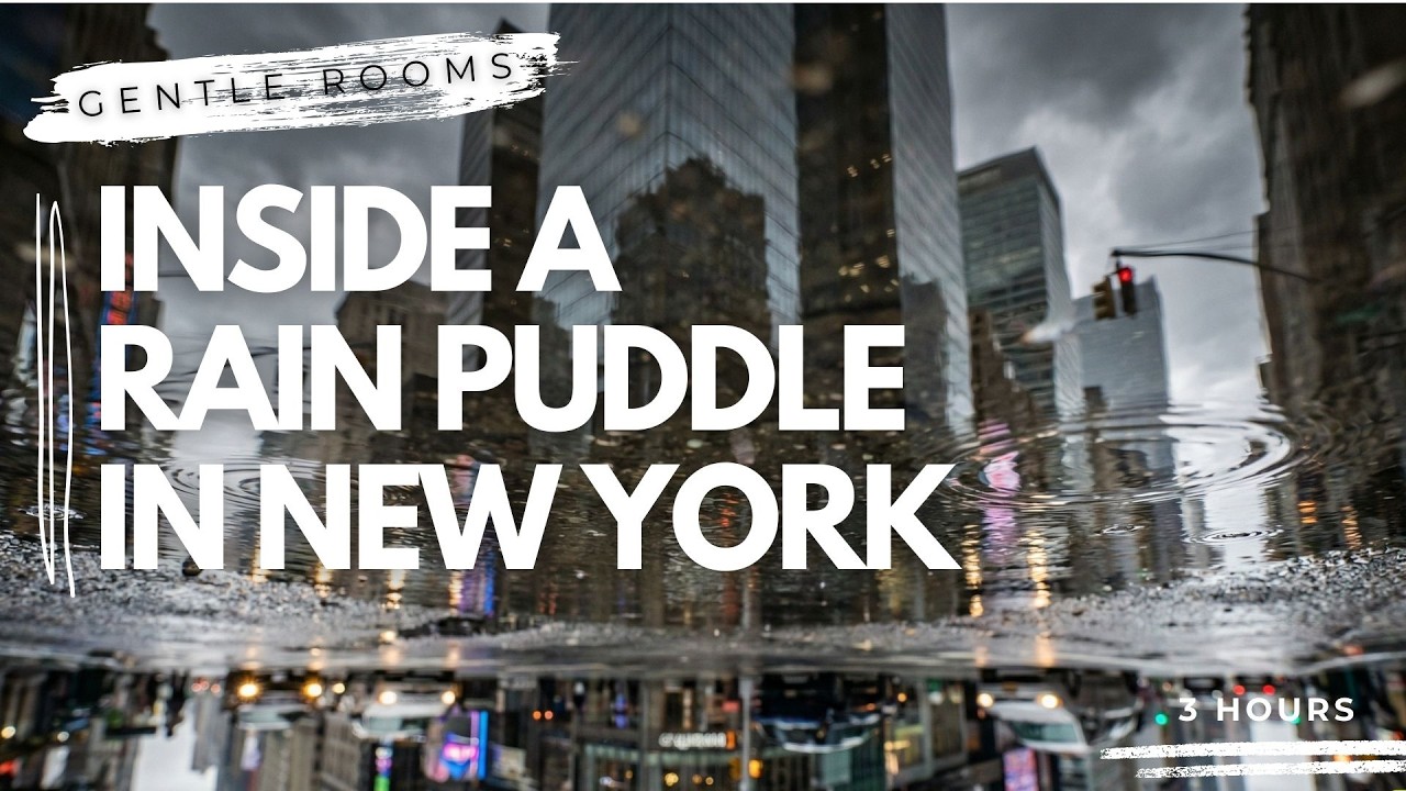 Inside a Rain Puddle in New York | 1mm Perspective – Cinematic Rainfall Ambience