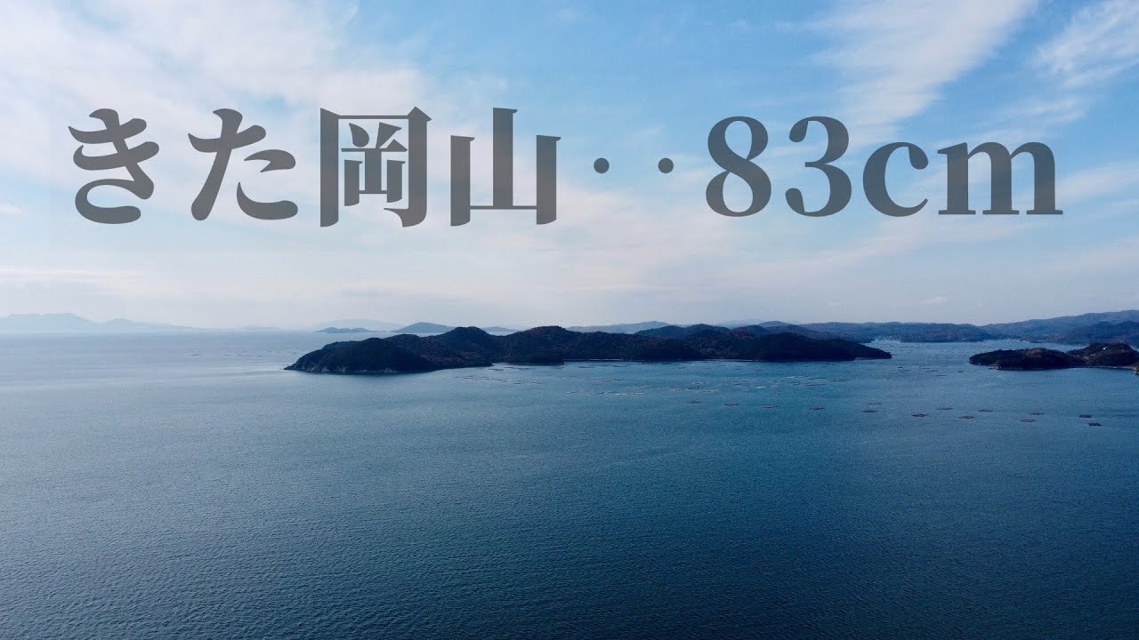 岡山県ショアからブリがきた！瀬戸内ショア 12月岡山青物 中国地方岡山県日生諸島ライトショアジギングゲーム 瀬戸内海ブリ 瀬戸内海ハマチ