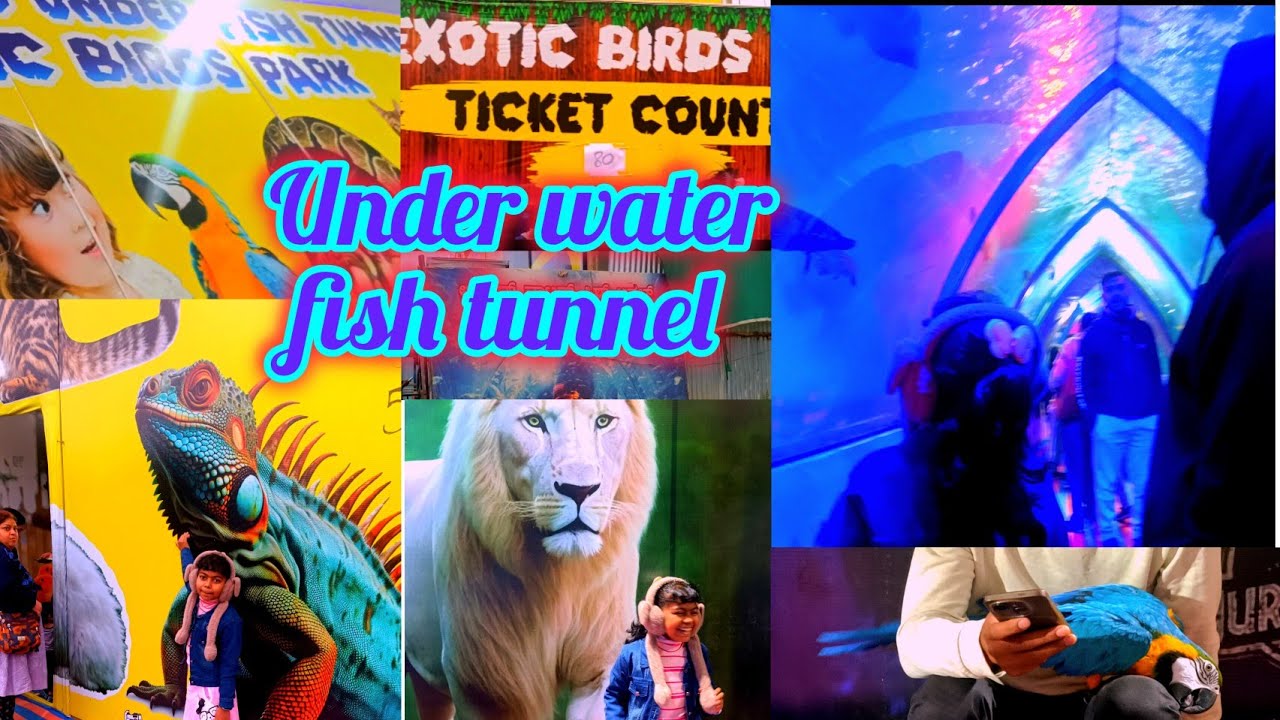 ব্যাঙ্গালোরে বাড়ির খুব কাছে under water fish tunnel দেখতে যাচ্ছি সবাই মিলে #bengali #vlog video 